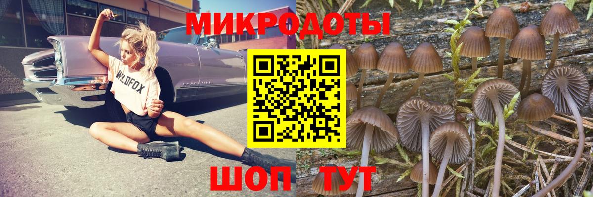Галлюциногенные грибы мицелий Арсеньев